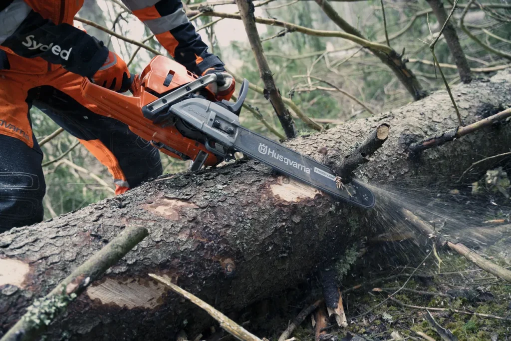 Motoferăstrău Husqvarna 572XP în acțiune pentru tăieri forestiere