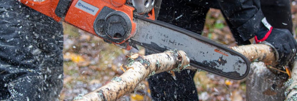 Recomandări drujbă 2026, alege drujba potrivita pentru tine