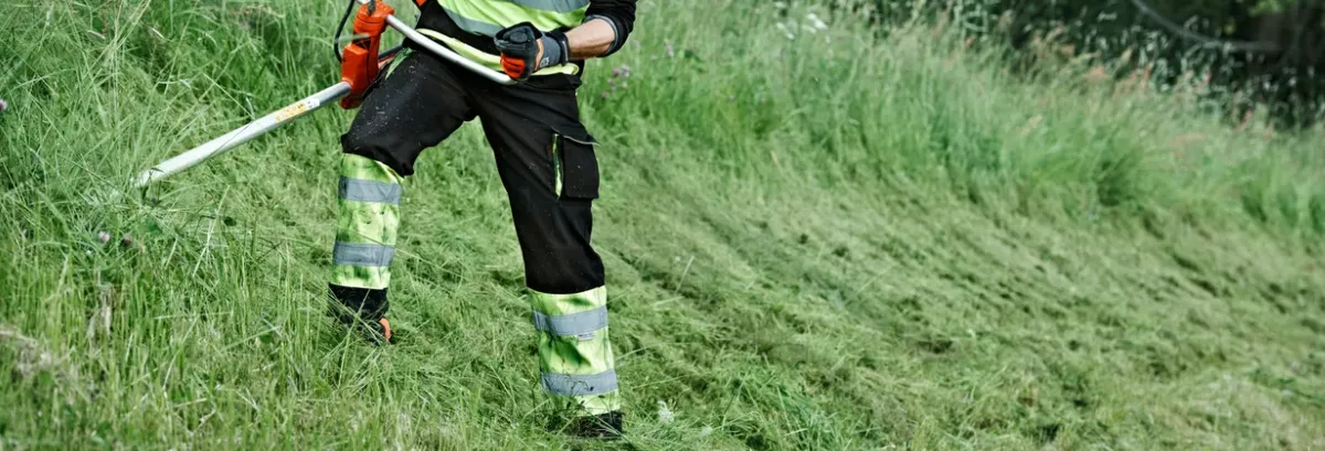 Cea mai bună motocoasă, ghid și recomandări